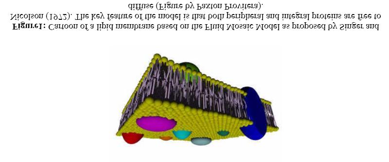 Structure of membrane proteins Biological membranes Before going into the details of the membrane proteins we need to look at the structural aspect of the biological membranes.