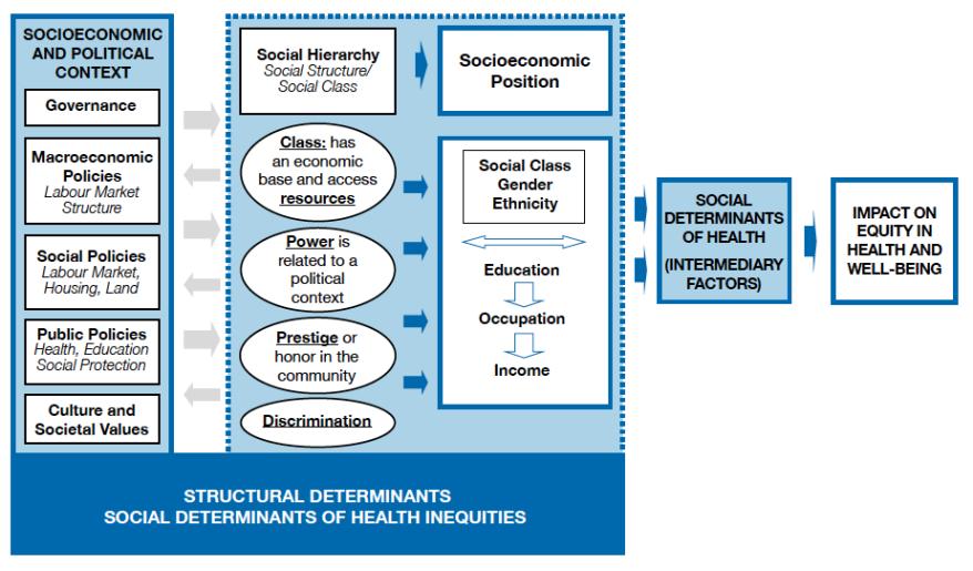Social Determinants of Health World Health Organization. (2010).