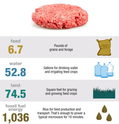 Cost of Food Waste One example of all the natural resources that get wasted along with food This is what