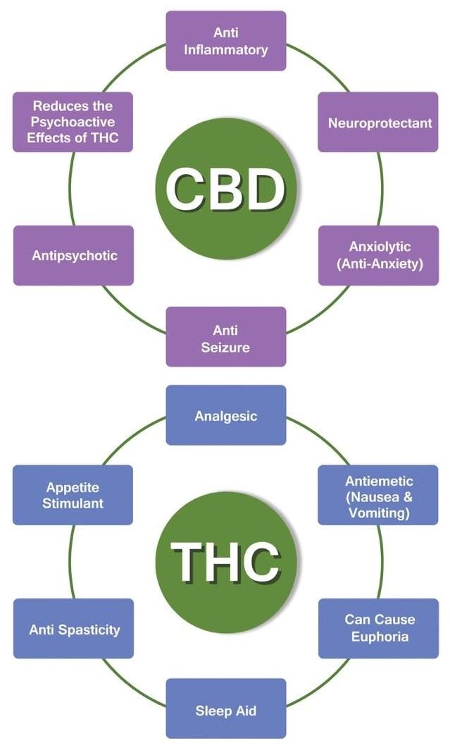 There are separate dried plant and oil products available such as THC only, CBD only or THC/CBD combination depending on your needs.