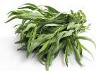 Slide 19 Tarragon Stimulates appetite Helps with gas and flatulence Helps stimulate bile in the liver Helps with toothaches High in phytonutrients and antioxidants Supports heart health and female