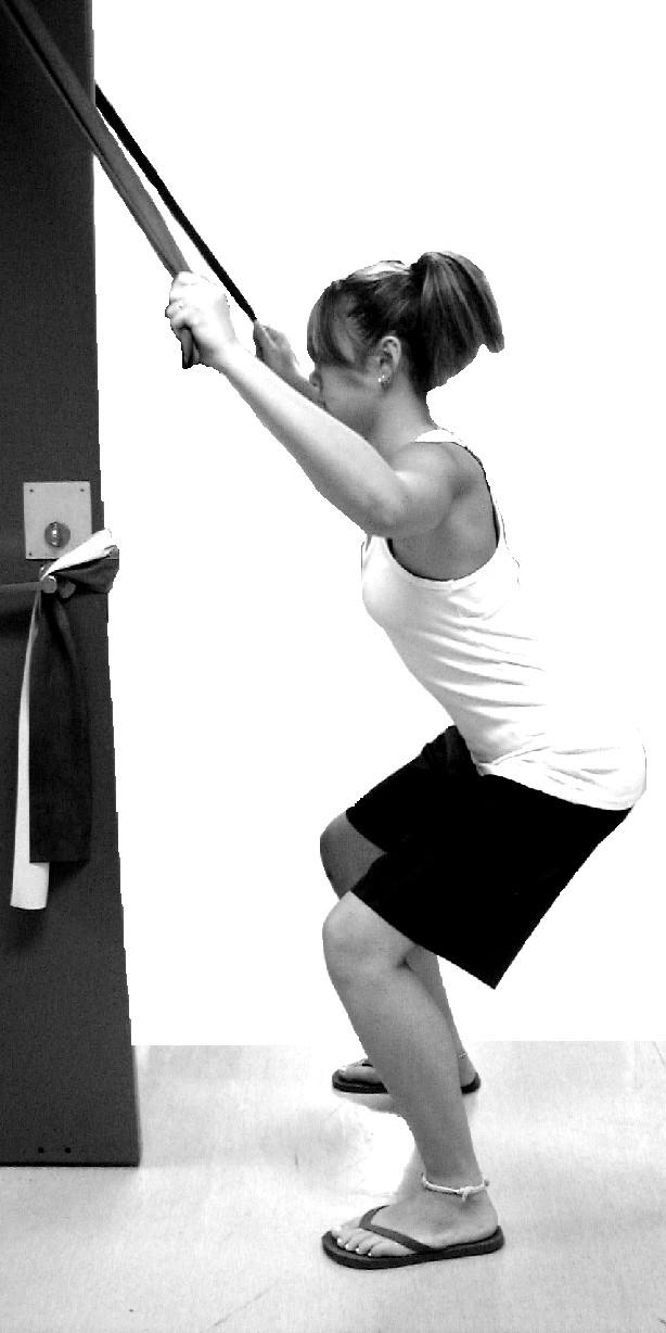Stand close to edge of door Progression: ***Do not move elbows behind your body*** Pull down the band, while tightening up stomach muscles to maintain the squat position.