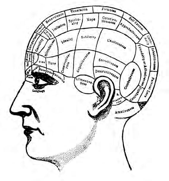 Putting the Psyche Back in Psychology: The Return of Cognition Cognition = mental processes involved in acquiring knowledge 1950 s and 60 s