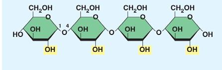 Since the monomers are monosaccharides, the polymer is a disaccharide. Three disaccharides are important to us with the formula C 12 H 22 O 11. Name them below and fill out the chart.