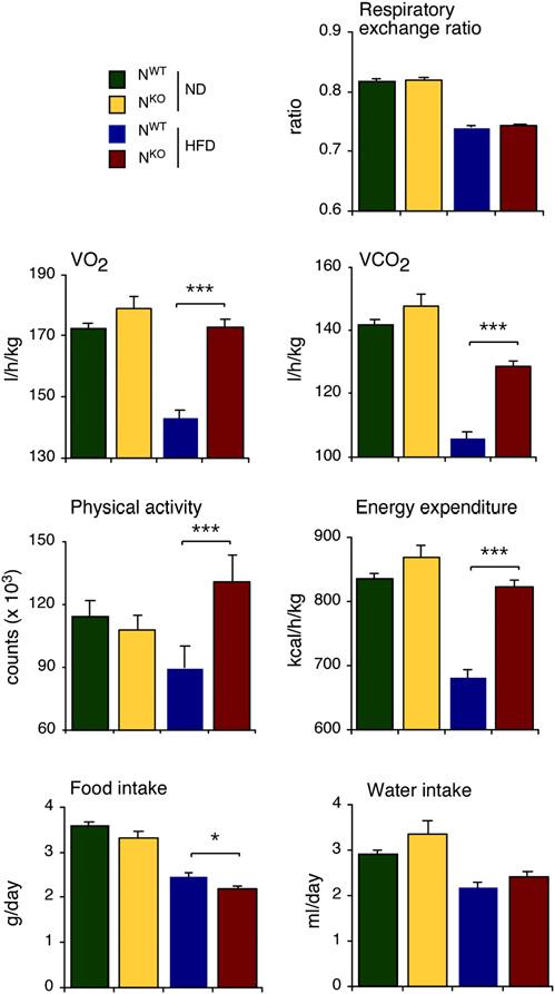 Regulation of obesity by JNK1 Figure 4. Comparison of energy balance of N WT and N KO mice using metabolic cages.