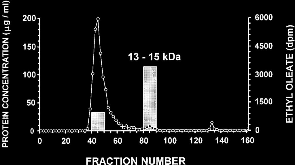 Fig. 13. Fractionation of the FAEE-containing cytosol of HepG2 cells by gel filtration chromatography. HepG2 cells in 35-mm petri dishes were incubated with 1.25 m [ 3 H]oleic acid (17.