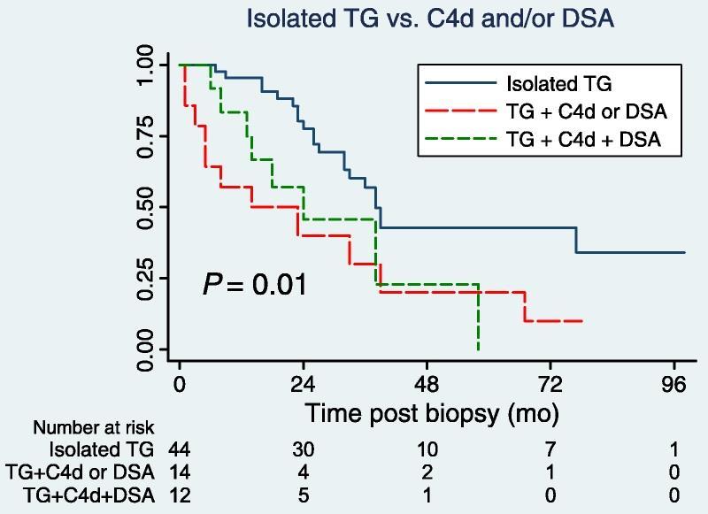 Influence of DSA and C4d on Outcomes in Chronic, Active ABMR with