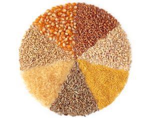 Whole Grain FDA considers "whole grain" to include cereal grains that consist of the intact, ground, cracked or flaked fruit of the entire grain. This includes: the endosperm, germ and bran.