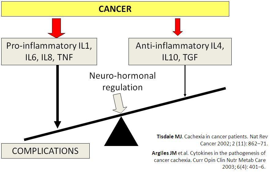Slide 7 Inflammation in cachexia These are the inflammatory cytokines released both by the cancer and normal cells Pro-inflammatory: interleukin 1, interleukin 6, interleukin 8, and TNFα