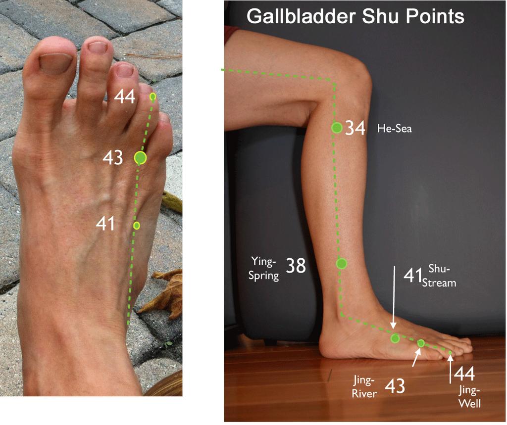 Gallbladder Meridian The Gallbladder is the partner of the Liver meridian. Here is GB 44 at the corner of the nail bed on the 4th toe. Start here with 44, 43, 41.