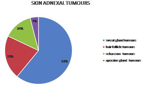 2: Table 2: Clinical Presentation and Diagnosis ADNEXAL TUMOURS SWEAT GLAND TUMOURS NO. OF CASES SITE 1. Nodular hidradenoma 6 Scalp(3) Face (1) Luteal region (1) Abdomen(1) 2.