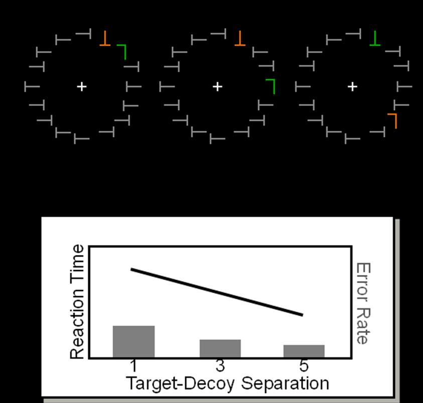 Figure 2. Example of a target-decoy paradigm and typical results. (A) Two color singletons a target and a decoy are presented among gray filler objects.
