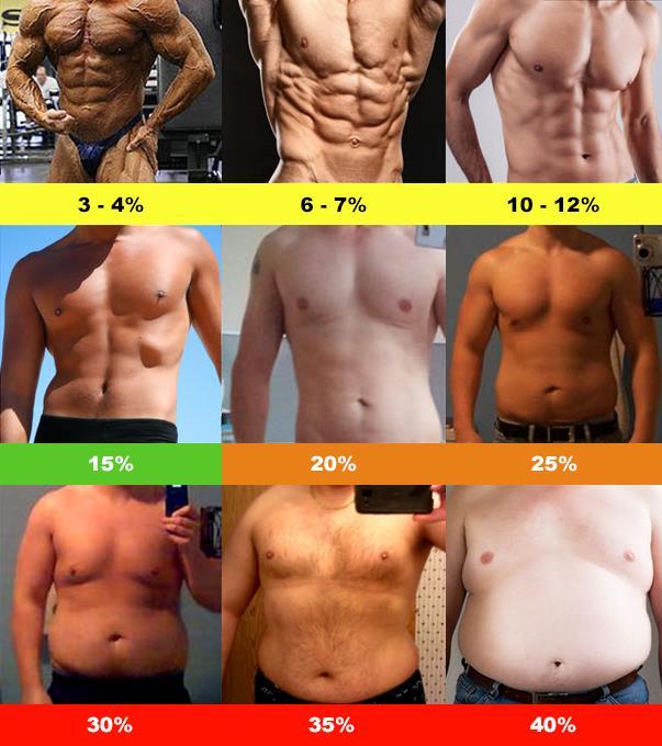 Male Body Fat % Male Body Fat % Optimum Low Normal High