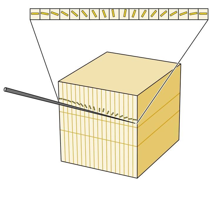 Orientation columns Electrode penetration parallel to the cortical