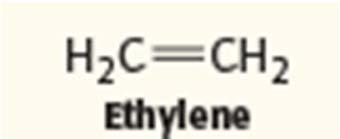 S Adenosylmethionine is also a precursor for the