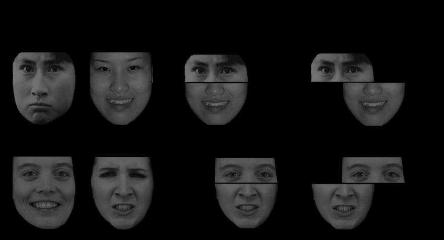 23 selected from the stimuli used in Experiment 1. The stimuli were created by combining the upper and the lower halves of different facial expressions.