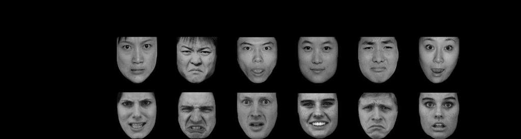 8 Stimuli Photographs of facial expressions of six basic emotions (anger, disgust, fear, happiness, sadness, and surprise) were selected from two face sets; the Chinese Facial Affective Picture