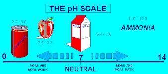 Acidity (ph) : Foods with a ph around 7 are ideal for bacterial growth.