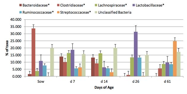 Fecal bacteria populations of sows, and progeny on d 7, 14 26 and 61 of age, taxonomically classified at Family level