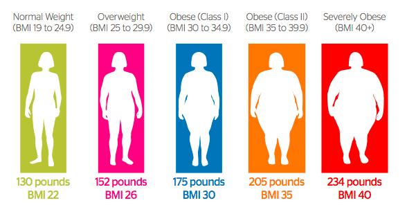 According to the National Institute of Health Body Mass Index (BMI) is a measure of body fat based on height and weight that applies to both adult men and women Classification BMI Health Risk Normal