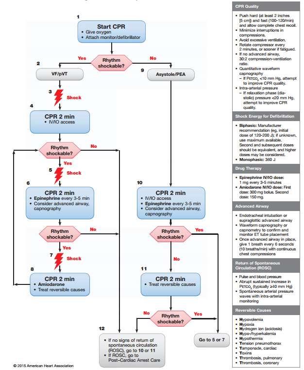 RTBoardReview Simulation 15 51 Year-Old Woman Undergoing Resuscitation Condition/Diagnosis: ACLS Protocols V-Fib, Cardioversion, Post-Resuscitation Care Take-Home Points This problem follows current