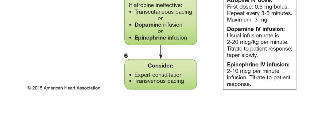 epinephrine for hypotension Illegal