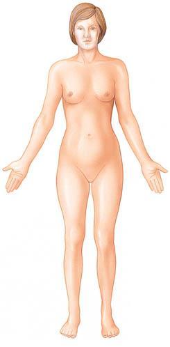 Anatomical Position Anterior Posterior