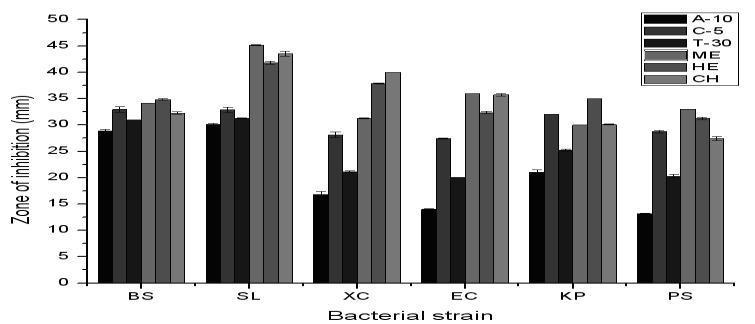 This study suggests that the leaf extract of Polyalthia longifolia have a board spectrum of antibacterial activity, although the degree of susceptibility could differ between different organisms.
