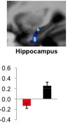Hippocampus Mixed findings during fear extinction during encoding/