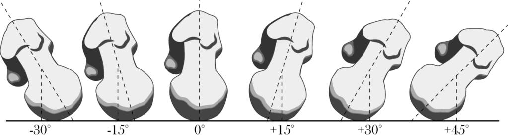 Figure 7.1: Schematic of the angles of rotation for the femoral neck used for estimating the bone strength.