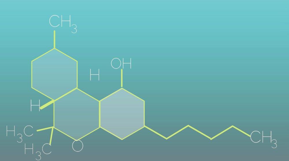 There is a lot more research to be done to fully understand all the compounds in Cannabis, but mounting studies suggest that CBD will have a life-changing impact on