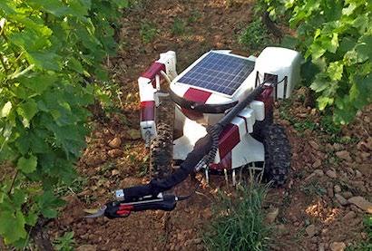 The next generation of robots will be more like plant shepherds.
