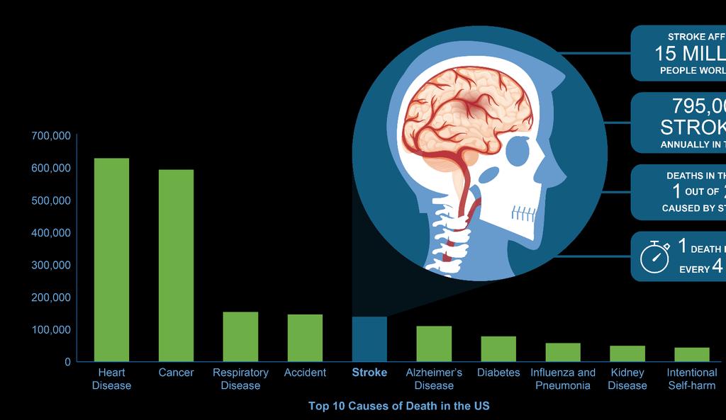 Annual Deaths Stroke is the Second-Leading Cause of Death Worldwide and the Fifth-Leading Cause of Death in the US ~15M strokes each year WW; ~800k in the US ~6M deaths each year WW; ~140k in the US