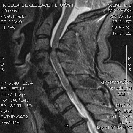 Cervical spine spondylosis with canal stenosis AP