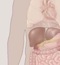 Gastroenterology Dysphagia Constipation Diarrhea Dermatology Hypohidrosis or anhidrosis Vasomotor abnormalities