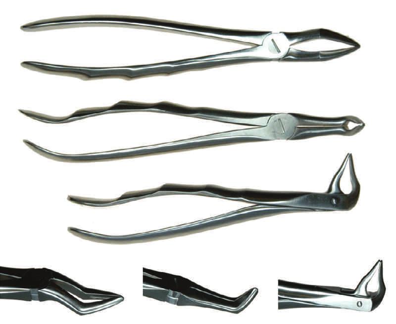 00 Hawksbill Forceps Removal of fragmented roots can be a challenge particularly if the roots themselves are healthy. A combination of elevation and forcep work is usually required.