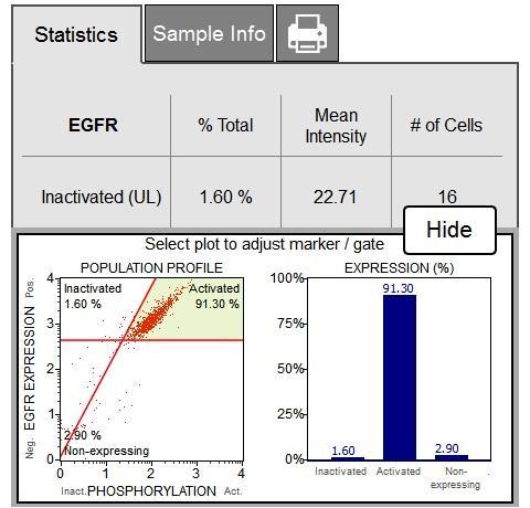 Muse EGFR-RTK Activation Dual Detection Kit (MCH200102) This two color kit is designed to detect the extent of EGFR pathway activation by measuring EGFR phosphorylation relative to the total EGFR