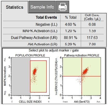 Muse PI3K/MAPK Dual Pathway Activation Kit (MCH200108) Evaluation of both the PI3K and MAPK signaling pathways simultaneously.