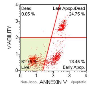 Determines number of late apoptotic and dead cells based on loss of membrane
