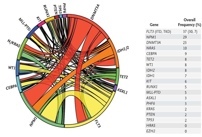 Molecular Drivers of AML Define Risk Categories (ELN and NCCN) Good CBF (t(8;21)/inv(16) NPM1 mutant (no FLT3-ITD)