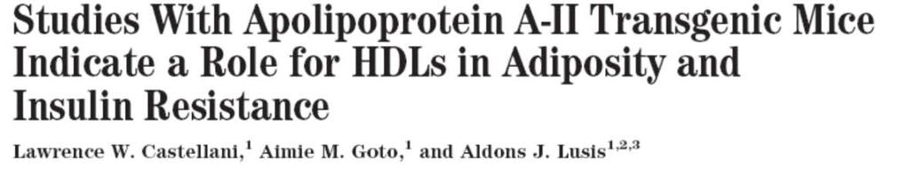 apolipoprotein of HDL-C Cromosome