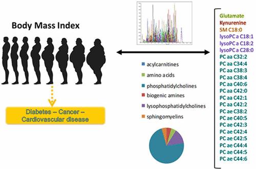 METABOLOMICS Blood Metabolic Signatures of Body Mass Index: A Targeted