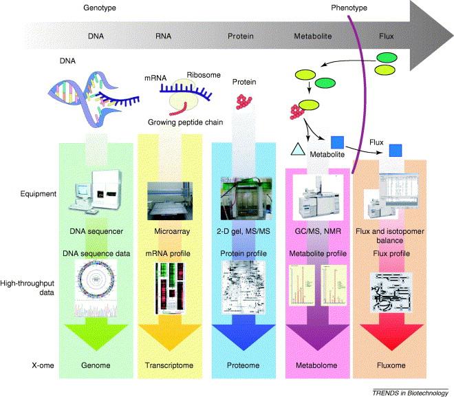 FUTURE: OMICS INTEGRATION and SYSTEMS BIOLOGY Integration