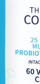 Each probiotic species in Ther-Biotic Complete offers unique functions and, when combined, synergistic probiotic nutritional support for both the small and large intestines.