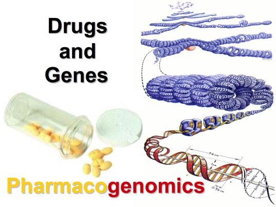 The study of the interaction between genetics and therapeutic drugs is variously called pharmacogenetics or pharmacogenomics.