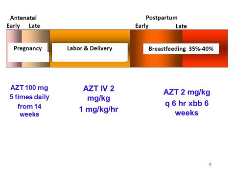 The AZT Regimen PACTG 076 demonstrates a 67% reduction in mother to child transmission of HIV in formula