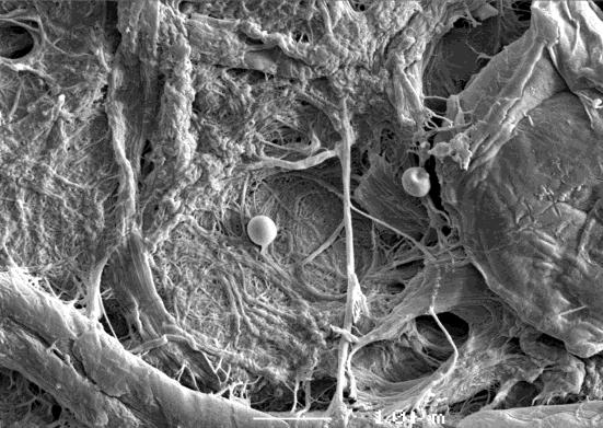 The remaining cellulose fibers constituted a three-dimensional network structure, and the fibrillar gel fibers were distributed as adhesive.