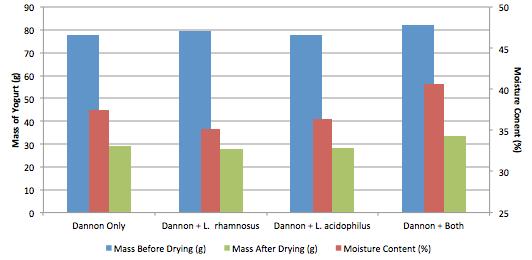 Figure 2 (left): Yogurt Mass With Addition of Probiotic Bacteria This graph shows the changes of mass that occur when drying our yogurt in a 55 C oven for 72 hours for
