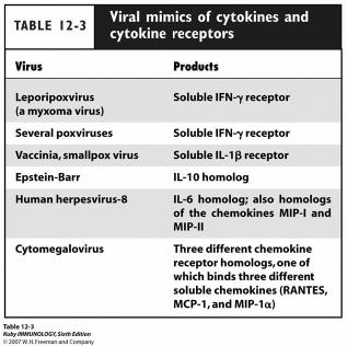 52 Exotoxins Vβ regions of TCR & MHC II 5-20% of T cells Cytokines TNF, IL-1 Toxic-shock syndrome
