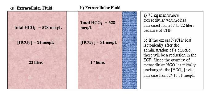 and the effective circulating volume (ECV).